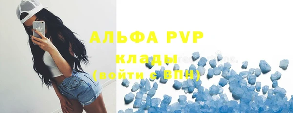 индика Верхний Тагил