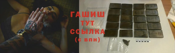 индика Верхний Тагил