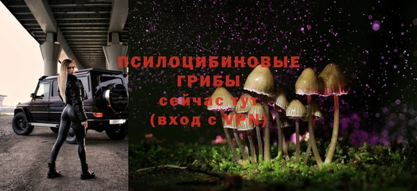 прущие грибы Верхнеуральск