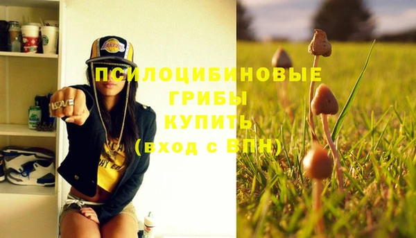 индика Верхний Тагил