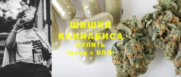 индика Верхний Тагил