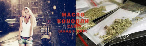 индика Верхний Тагил
