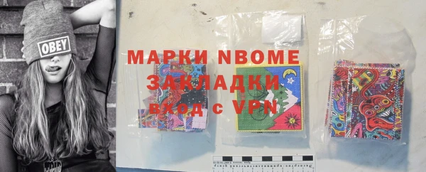 индика Верхний Тагил