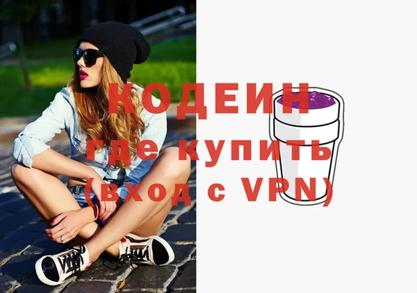 индика Верхний Тагил