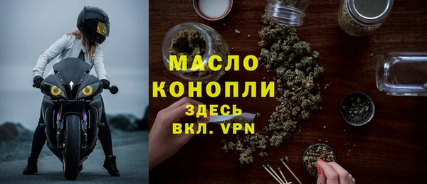 индика Верхний Тагил