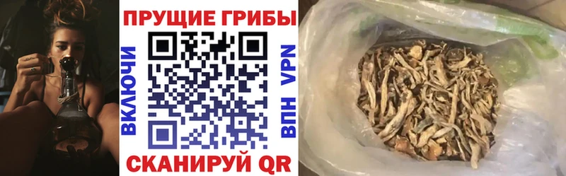 Галлюциногенные грибы Psilocybe  MEGA маркетплейс  Мариинск 